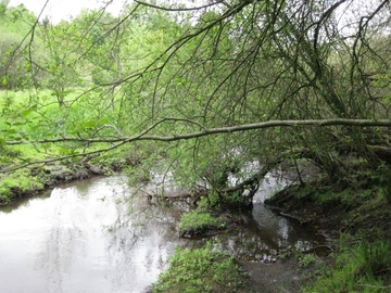 Naturnaher Verlauf mit Auskolkung