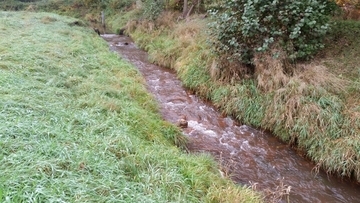 Flussbett der Marka
