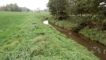 Grünlandbereich an der Marka