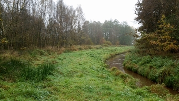 Naturnahe Entwicklung im Nahbereich der Marka