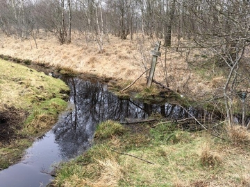 Wasserscheide Marka-Mittelradde