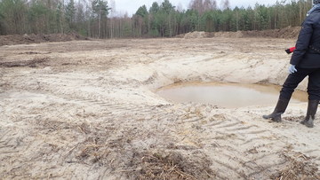 Für die Kreuzkröte wurde in der ehemaligen Abgrabung am Oldenstätter See eine Rohbodenfläche geschaffen Laichgewässer mit unterschiedlichen Höhenniveaus sollen die Reproduktion der Art am Standort ermöglichen. (Foto: Engelhardt, UNB Uelzen)