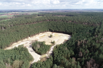In der ehemaligen Sandgrube Kirchdorf wurden Teilflächen von der Sukzession befreit und offene Sandlebensräume mit Gewässern unterschiedlicher Tiefen geschaffen. Die Kreuzkröte hat das Gebiet bereits 2020 erfolgreich zur Reproduktion genutzt. (Foto: