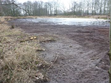 Das Waldschlatt bei Drentwede mit Fokus auf die Zielart Knoblauchkröte (Pelobates fuscus) freigestellt und entschlammt. (Lokaler Partner: Stiftung Naturschutz Landkreis Diepholz, Foto: Sabrina Schäfer)