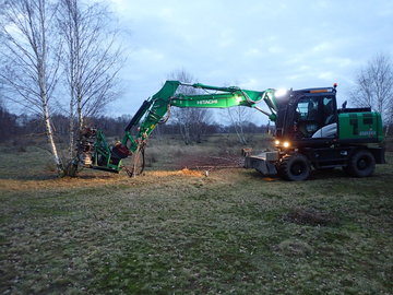 Mit schwerer Technik wurden die Heideflächen auf der Kugelfangtrift in Hannover in nur wenigen Tagen zu Teilen freigestellt, um die Landhabitate der Kreuzkröte zu optimieren. Die Magerrasen am Standort profitieren von der Lichtstellung. (Foto: Tom Kutt