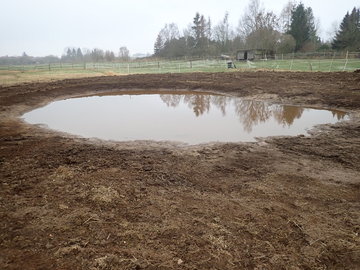 An der „Langen Wiese“ im Stadtgebiet von Braunschweig wurden zwei Gewässer für die Knoblauchkröte (Pelobates fuscus) angelegt. (Lokaler Partner: UNB der Stadt Braunschweig, Foto: Tom Kutter)