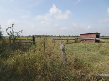 Landschaftsschutzgebiet "Mittelradde/Marka"