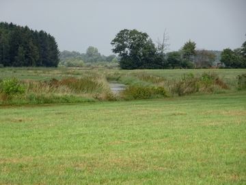 Landschaftsschutzgebiet "Mittelradde/Marka"