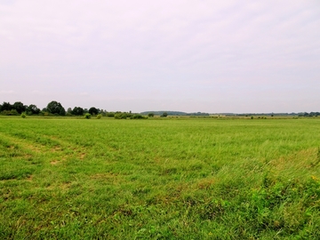 Landschaftsschutzgebiet "Mittelradde/Marka"