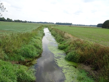 Landschaftsschutzgebiet "Mittelradde/Marka"