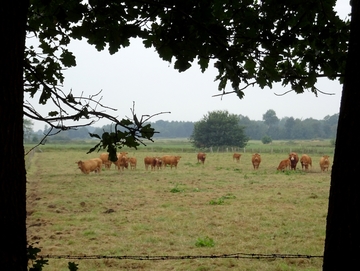 Landschaftsschutzgebiet "Mittelradde/Marka"