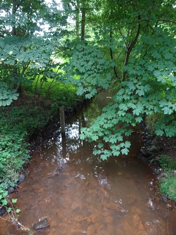 Naturschutzgebiet Lethe