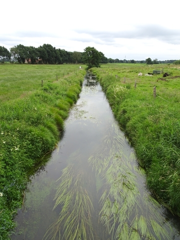 Naturschutzgebiet Lethe