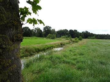 Naturschutzgebiet Lethe