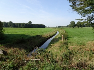 Landschaftsschutzgebiet "Südradde"