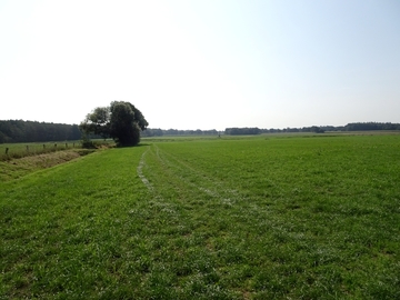 Landschaftsschutzgebiet "Südradde"