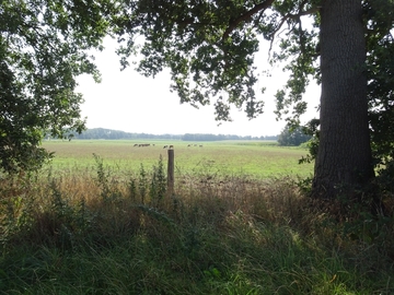 Landschaftsschutzgebiet "Südradde"