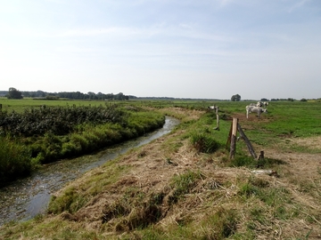 Landschaftsschutzgebiet "Südradde"