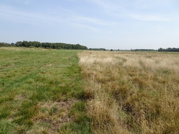 Landschaftsschutzgebiet "Südradde"