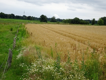 Landschaftsschutzgebiet "Lethetal"