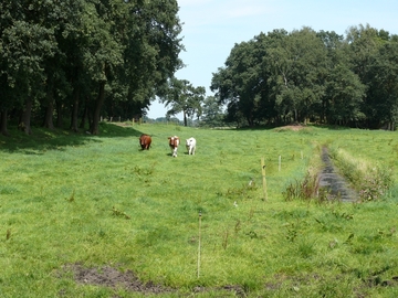 Landschaftsschutzgebiet "Lethetal"