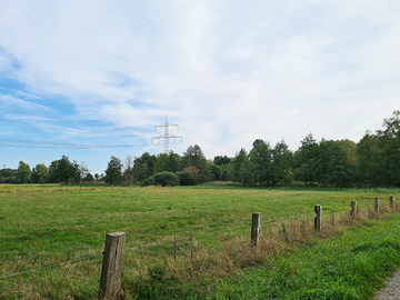 Grünland im Bereich der Teiche