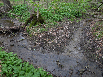 Limberg bei Elze