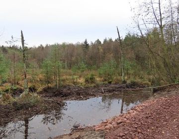 Als erste Bauwerke wurden die Sickerdurchlässe im Königsdamm fertiggestellt. Sie ermöglichen es, dass bei hohen Wasserständen das im östlichen Bereich anstehende Wasser an drei Stellen durch den Königsdamm abfließen kann.