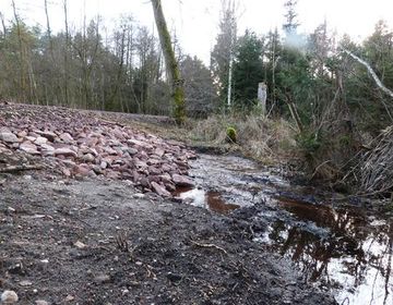 Die höheren Wasserstände des Frühjahrs sorgen für einen stetigen Wasserstrom durch die Sickerdurchlässe im Königsdamm.