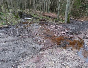 Auch die zuvor trockene Furt im Jafelweg hat jetzt ihre Funktion aufgenommen.