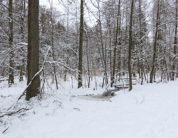 Entlang des Langen Damms kämpft sich der gerade erst wieder gefüllte Jafelbach seinen Weg durch Schnee und Eis.