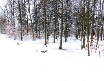 Die Furt im Bohlweg verschwindet unter einer dicken Schicht Schnee, selbst die Findlinge tauchen fast gänzlich im „weißen Meer“ unter.