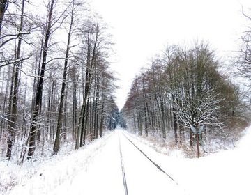 Nur die freien Gleise zeigen, dass die Bahntrasse durch das Gebiet noch genutzt wird.