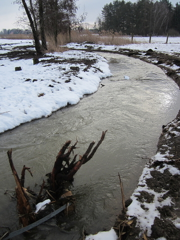 Winterbild von einem gut gefüllten Gewässer.