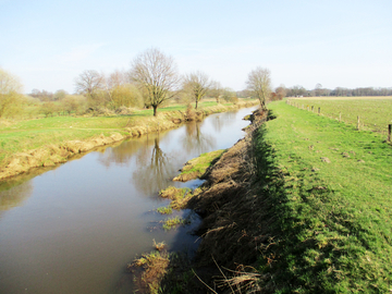 Uferabbrüche durch eigendynamische Entwicklung am Essener Kanal.