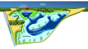 Planung für den entstehenden Tidepolder Coldemüntje: Auf 36ha sollen wertvolle Tidebeeinflusste Lebensräume, aber auch ein Süßwasserteich entstehen