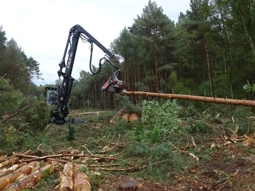 Holzentnahme im Randbereich des Otternhagener Moores mit einem Harvester zur Schaffung baumfreier Arbeitstrassen für den Bau von wasserstauenden Dämmen