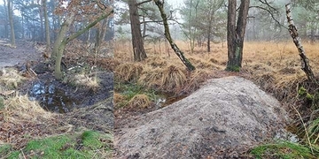 Entwässerungsgräben wurden gekammert, sodass der Wasserabfluss verhindert bzw. reduziert wird.