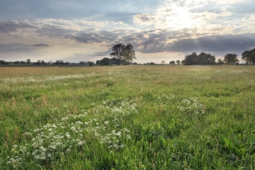 Wümmeniederung bei Fischerhude