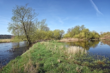 Wümmeniederung bei Ahausen