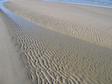 Sandwatt im Elbästuar