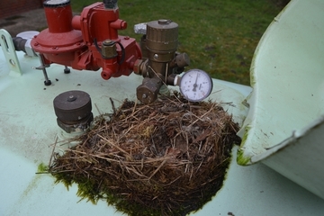 Bei aufgeklappter Abdeckung des Einfüllstutzens wird das Nest der Bachstelze aus dem vergangenen Jahr sichtbar.