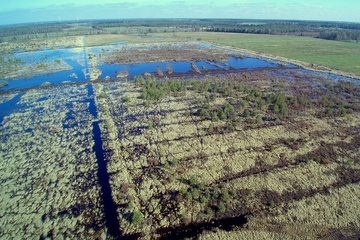 Drohnenaufnahme aus einem ideal wiedervernässten Bereich im Großen Moor bei Becklingen im Landkreis Celle