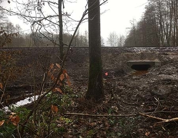 Es ist geschafft! Der Blick zum Bahngleis zeigt den erneuerten Gewässerdurchlass. Mit angehobener Gewässersohle findet der Kucksmoorbach im nordwestlichen Bereich des Projektgebietes nun allmählich in seinen ursprünglichen Verlauf zurück.