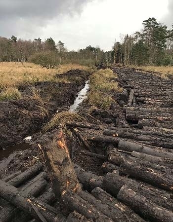 Zur Verfüllung des Kucksmoorgrabens musste parallel verlaufend ein ca. 900 m langer Knüppeldamm verlegt werden.