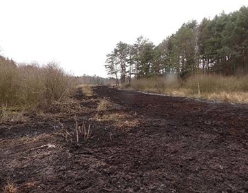 Die Verfüllung des Kucksmoorgrabens und der Rückbau des Knüppeldammes sind erfolgreich abgeschlossen. Nun können Flora und Fauna wieder Einzug halten und die Grundwasserstände ansteigen.