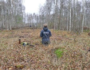 Schwundrisse als Indikatoren starker Entwässerung in Moorgebieten sind unter Bewuchs und Laub nicht offensichtlich. Eine Projektmitarbeiterin steckt demonstrativ in einem Schwundriss.