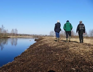 Letzte Ortsbegehung vor der Brut- und Setzzeit. Die bislang unbewachsenen Torfdämme wurden mit regionalem Heide-Mahdgut bestreut, um wertvolle Moorheidelebensräume zu fördern und invasiven Arten zuvorzukommen.