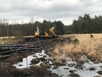 Die durchweichten Böden des Jafelmoores waren für die schweren Baumaschinen zur Verfüllung der Gräben nur über Knüppeldämme erreichbar.