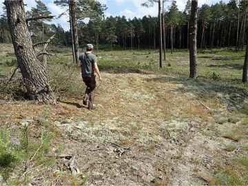 Vor Umsetzung der Maßnahme markiert Oliver Richter, Förster für Waldökologie und Naturschutz beim Forstamt Sellhorn, die auszusparenden Flächen der späteren Zielvegetation.